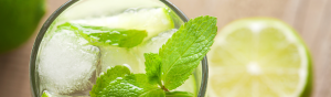 blog-recipe-spearmint-mojito