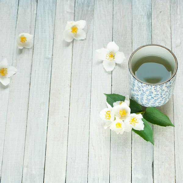 Heaven Scent How Jasmine Teas are Made Steep Thoughts