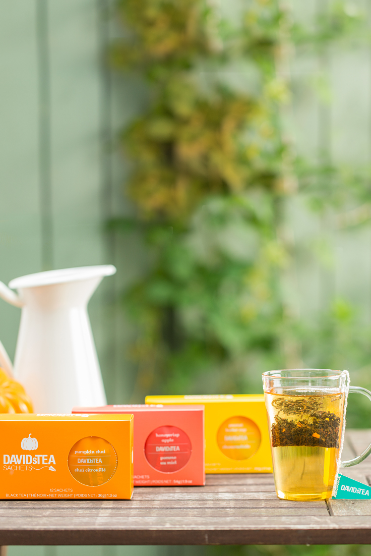 DAVIDsTEA Steep Thoughts New and Improved Tea Sachet Update Steep