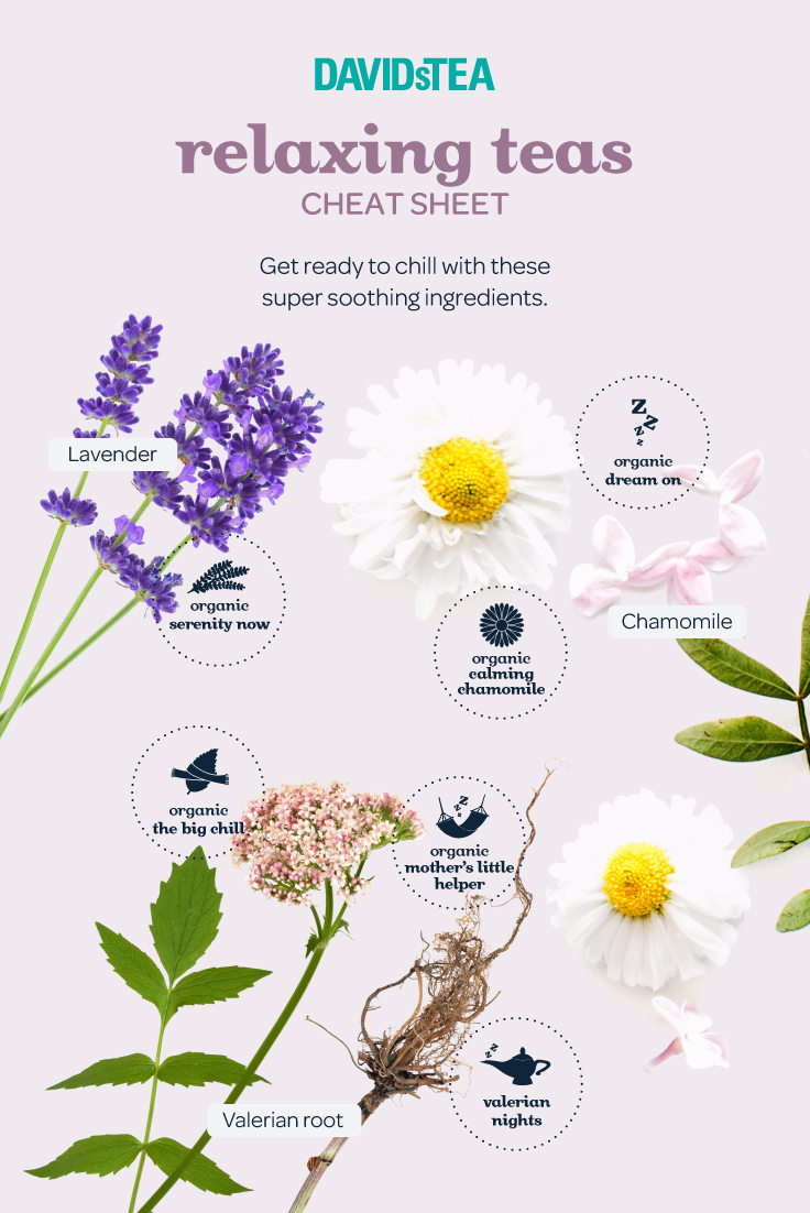 6 wellness teas that quench more than just your thirst - Steep Thoughts