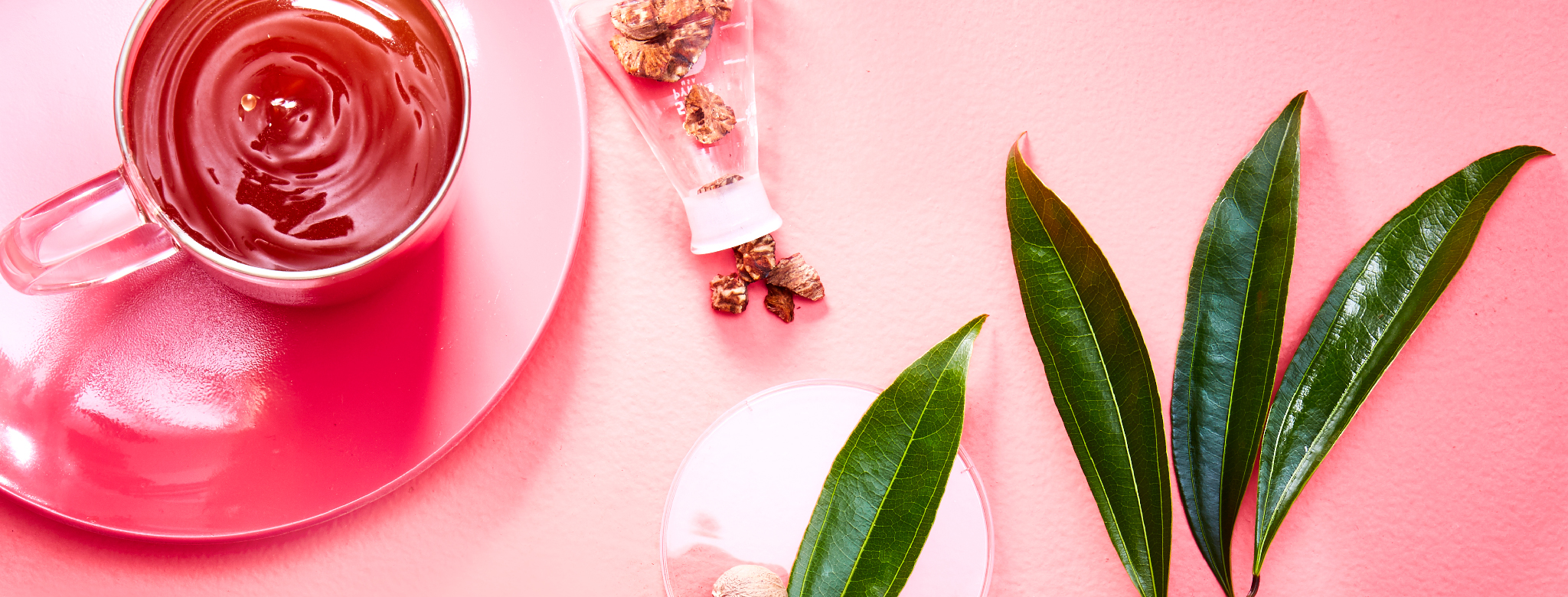blog_hangover-teas_hero - Steep Thoughts