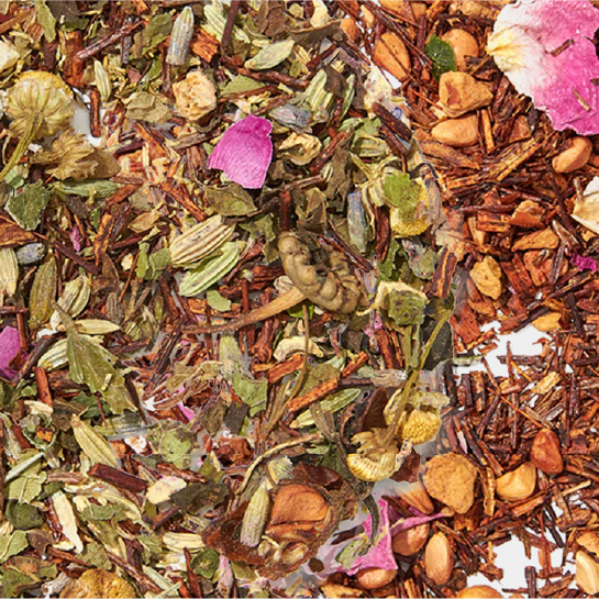 Rooibos tea: from South Africa to your cup