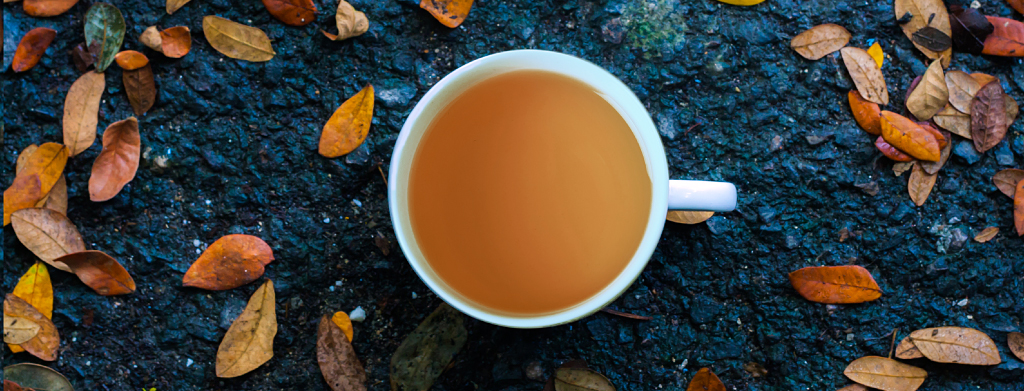 026-Fall-Camping-teas_in-article_late-night-indulgence